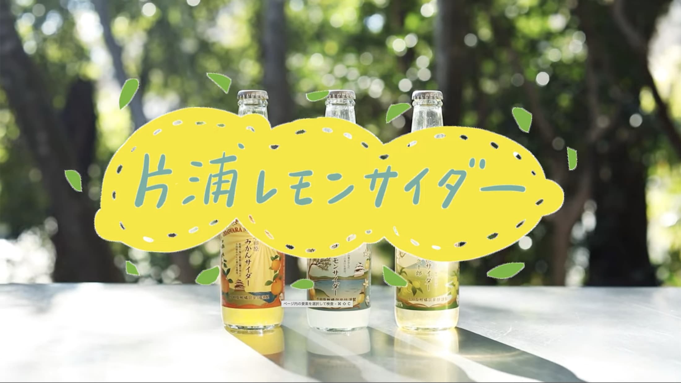 動画再生