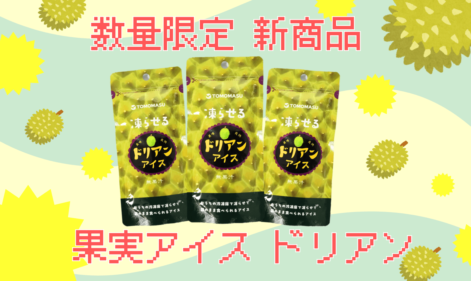 こった様専用 アンナこった様】専用 スイデンアダプター ACアダプター