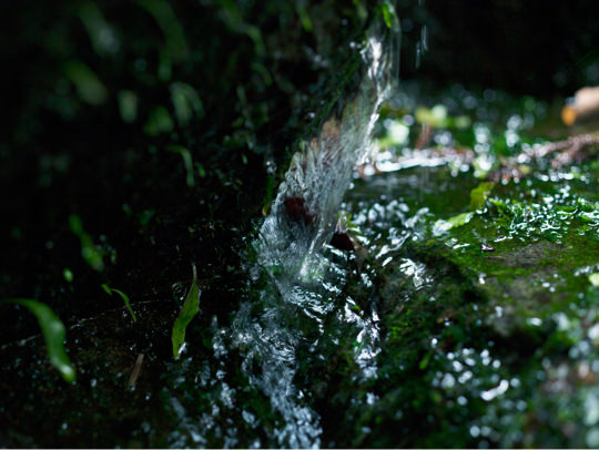 指宿温泉サイダーのイメージ